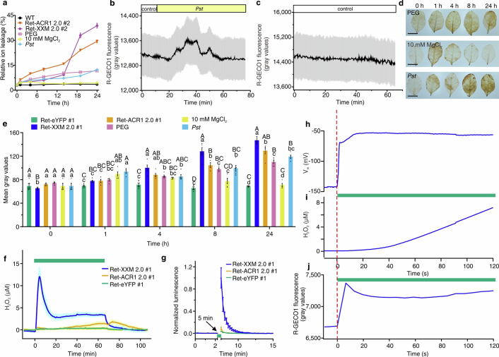 Extended Data Fig. 6
