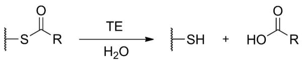 Scheme 5