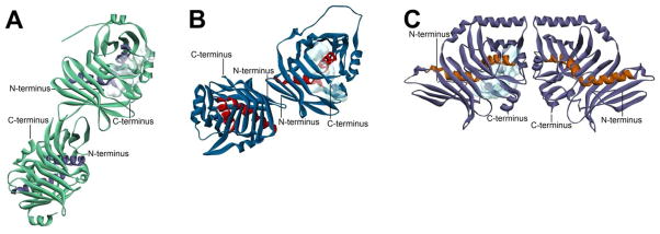 Figure 17