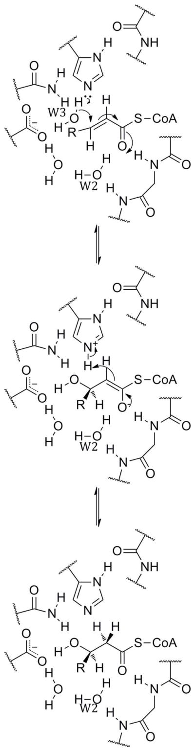 Scheme 3