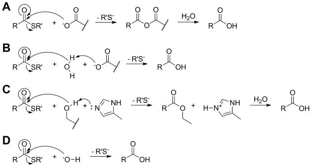 Scheme 6