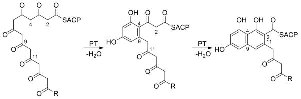 Scheme 9