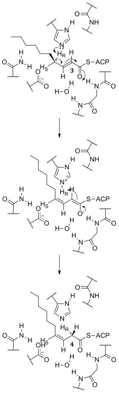 Scheme 4