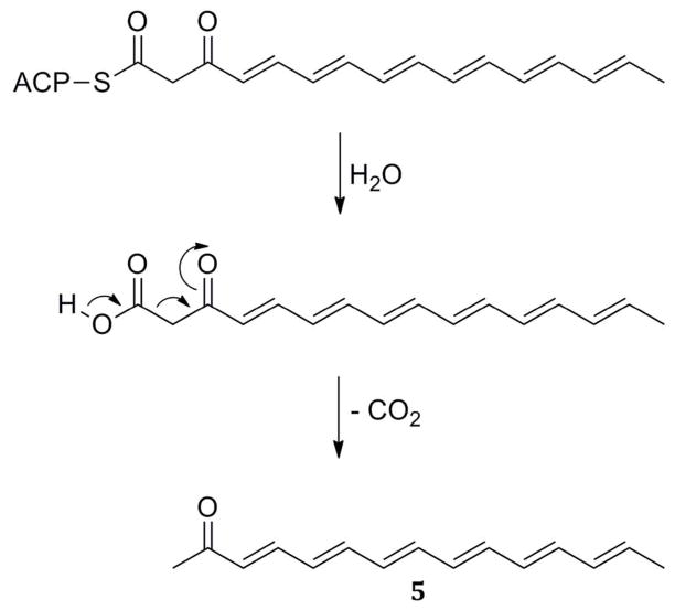 Scheme 8