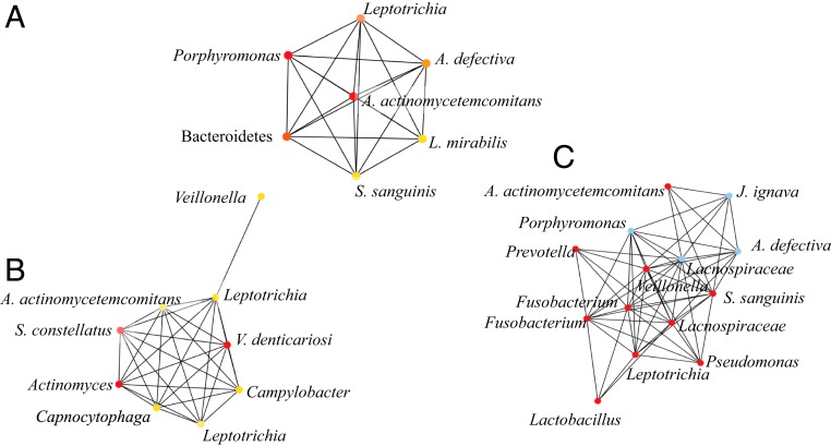 Fig. 3.