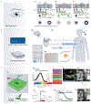 Fig. 7 |