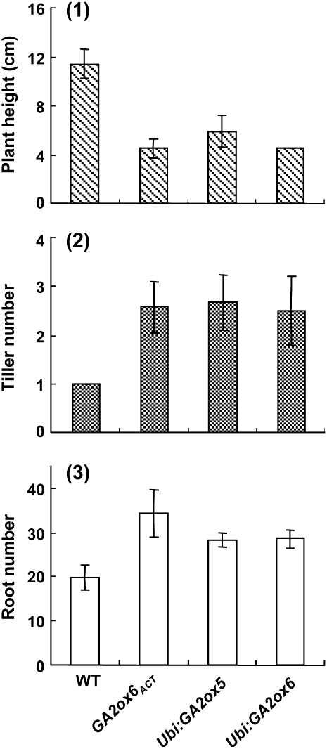 Figure 10.