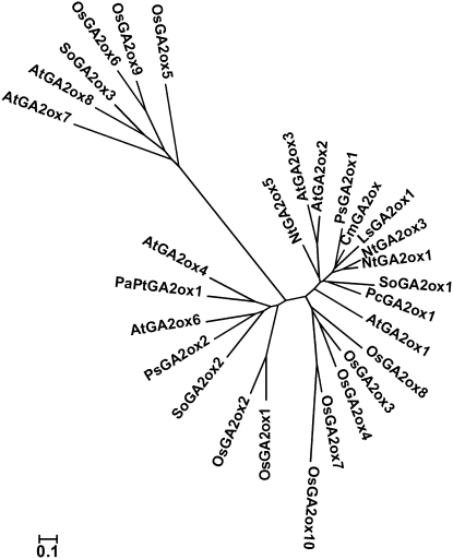 Figure 2.