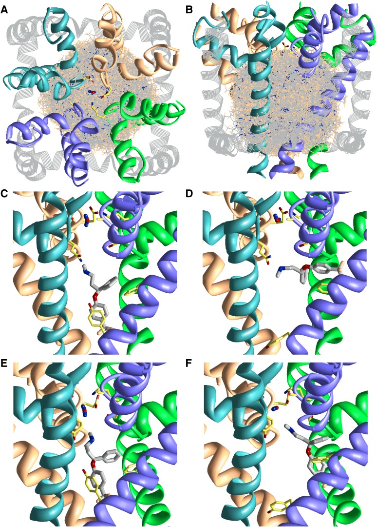 Fig. 6.