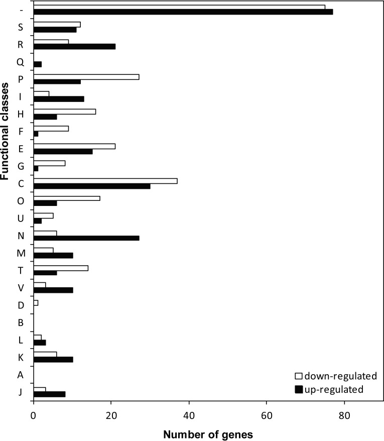 FIG 1