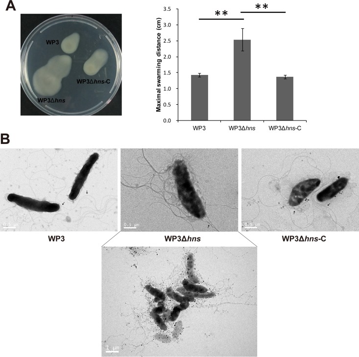 FIG 3