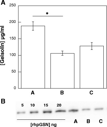 Fig. 5