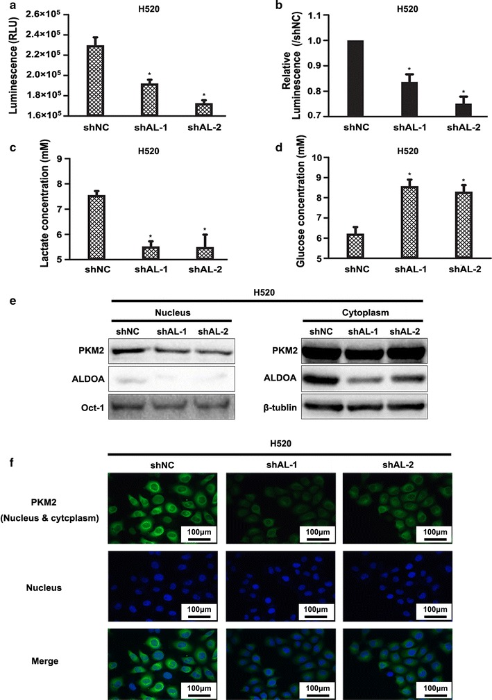 Fig. 7