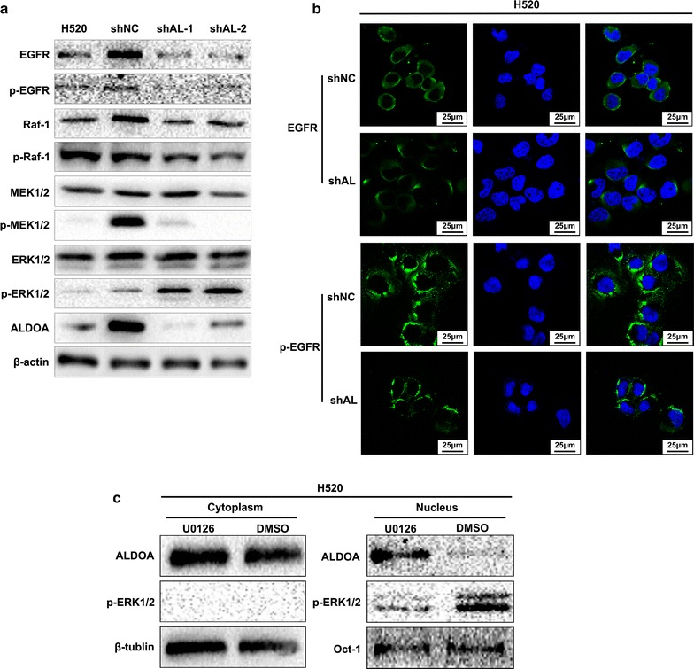 Fig. 6