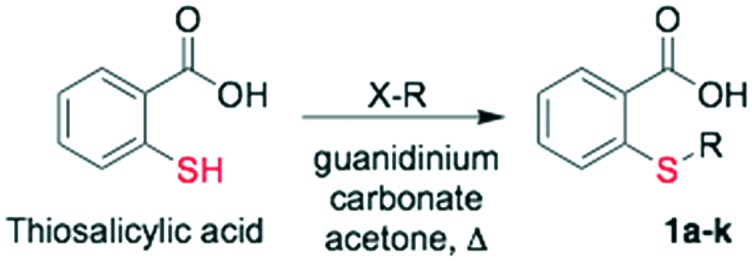 Scheme 2