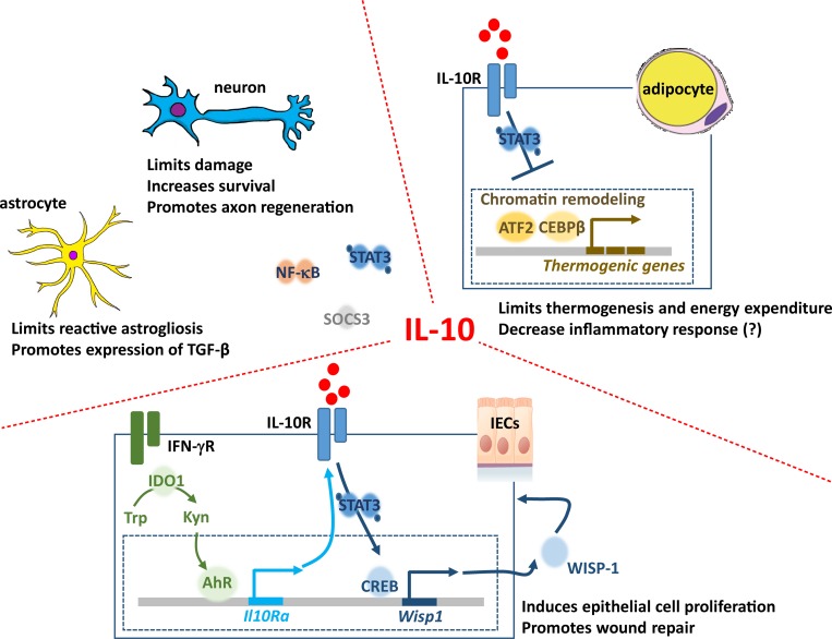 Figure 3.