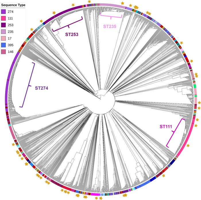 FIG 2