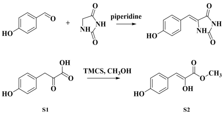 Scheme 1