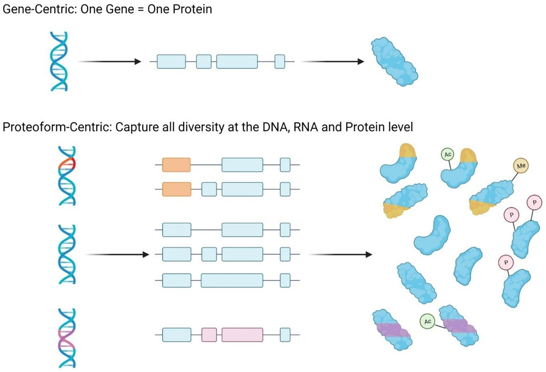 Figure 1: