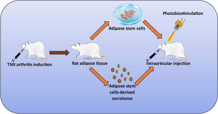 graphic file with name 12903_2023_3466_Figa_HTML.jpg