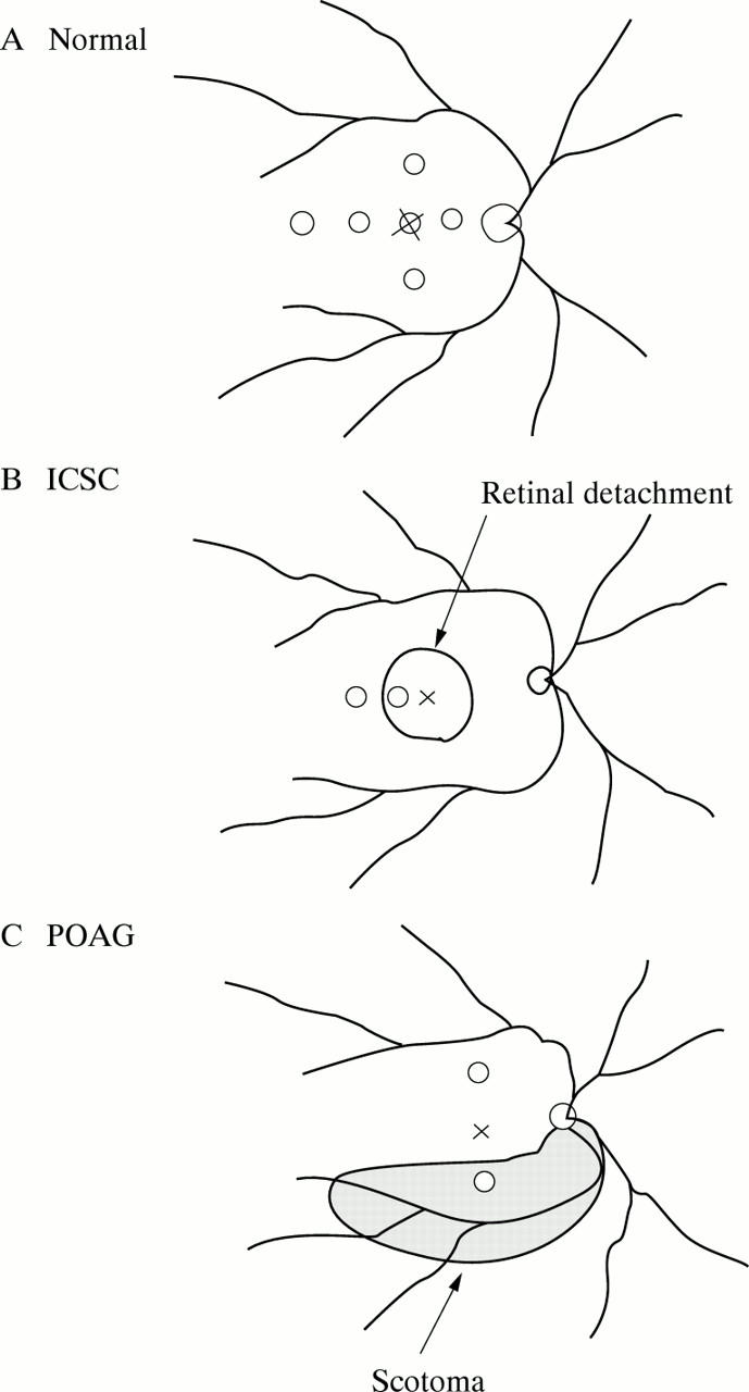 Figure 2  