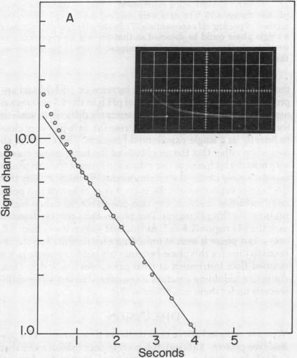 graphic file with name pnas00032-0075-b.jpg