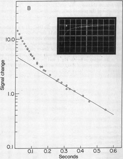 graphic file with name pnas00032-0075-a.jpg