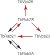 FIG 9