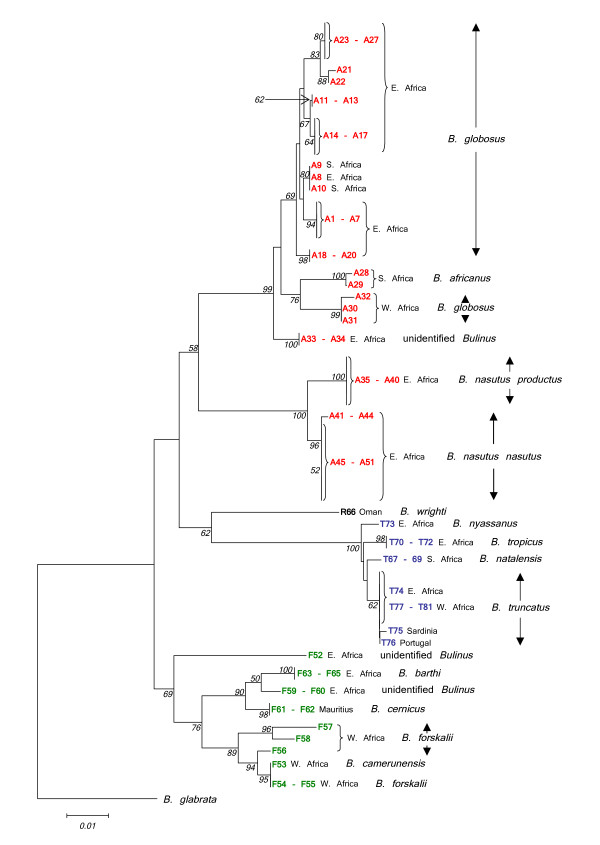 Figure 9