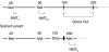 Fig. 6