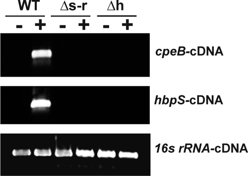 FIGURE 7.