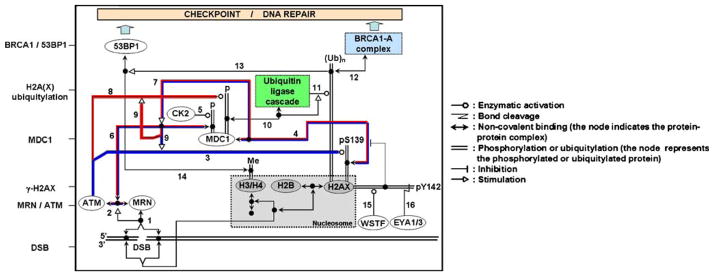 Fig. 2