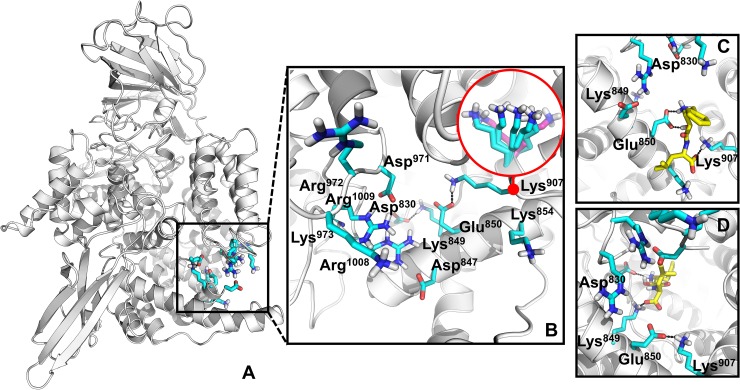 Fig 4