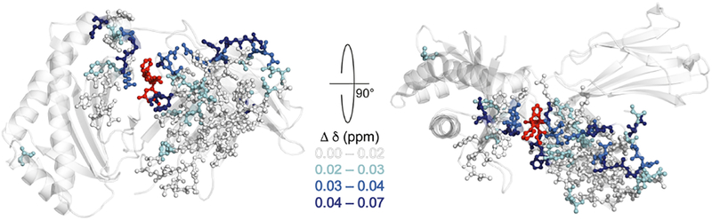 Figure 10: