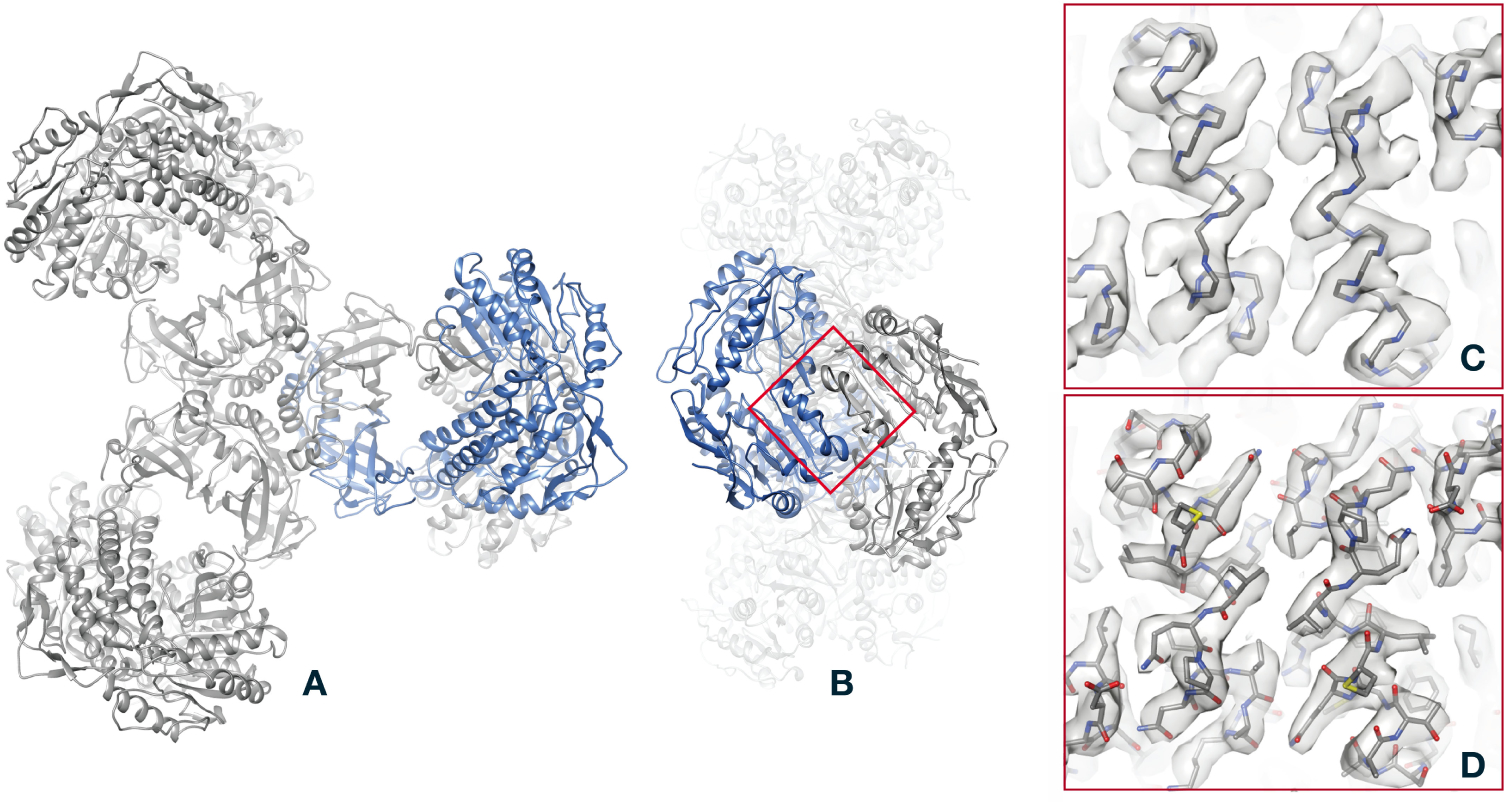 Figure 4