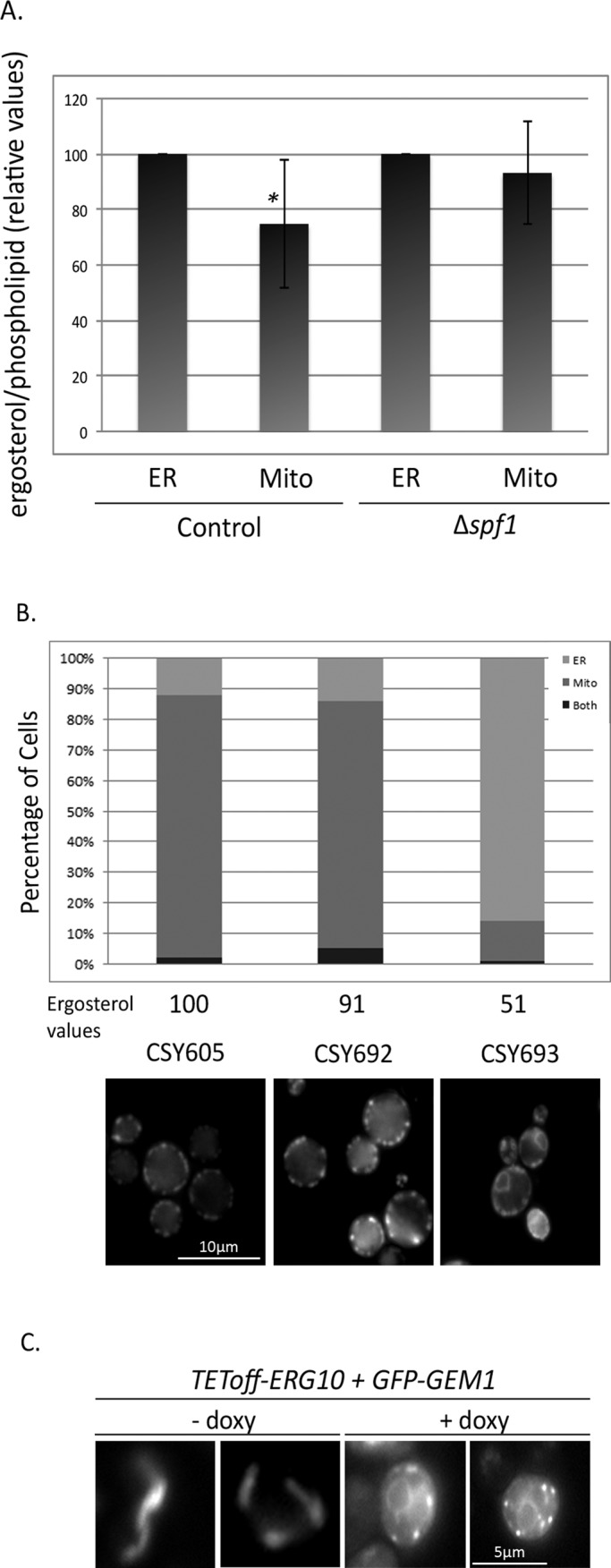 FIGURE 5: