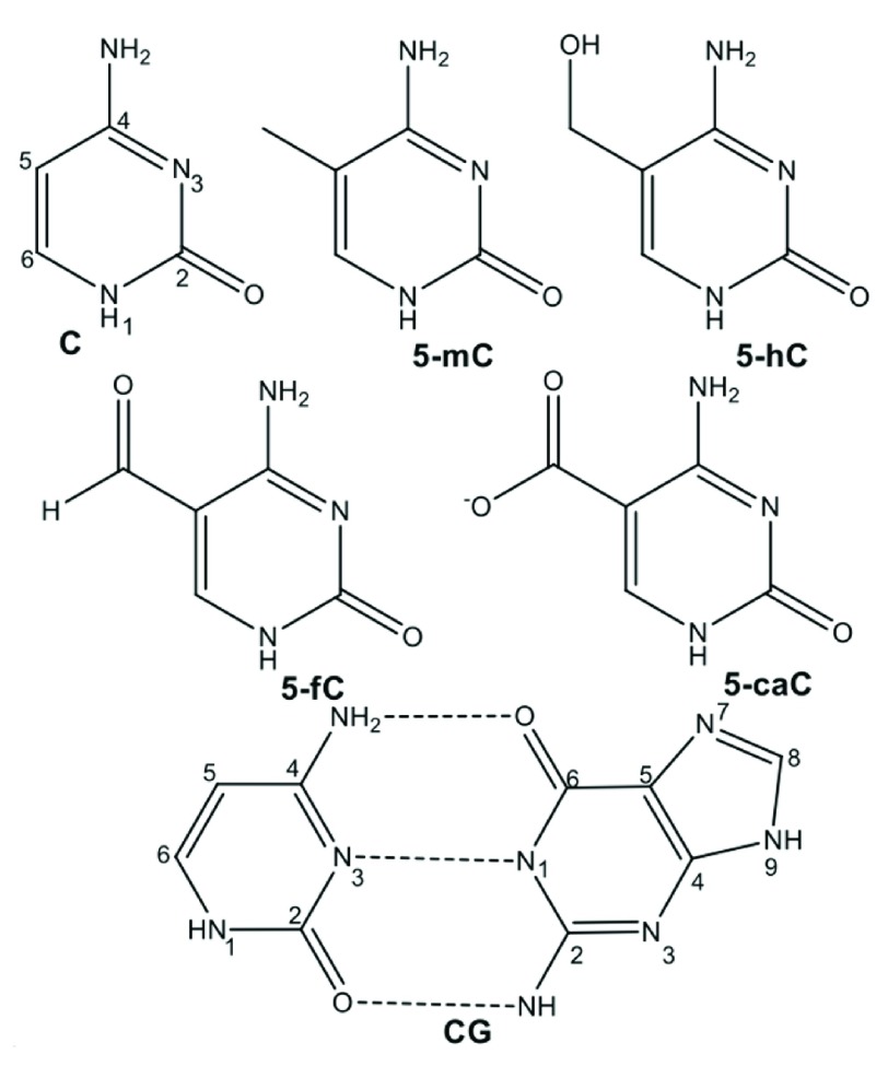 Figure 1. 