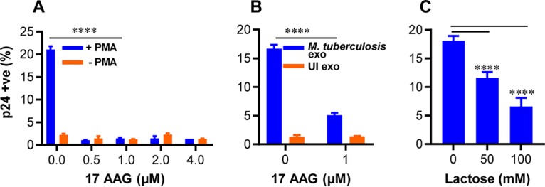 FIG 8