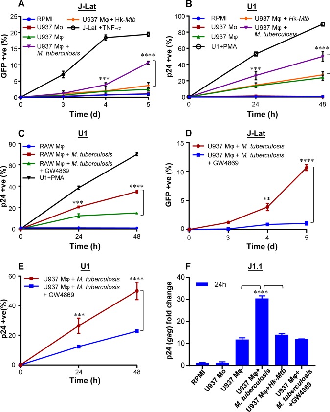 FIG 3