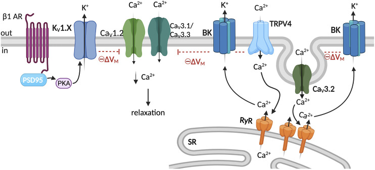 FIGURE 3