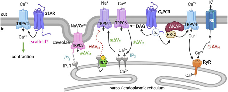 FIGURE 2