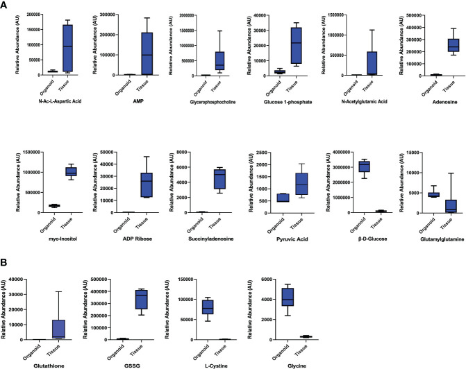 Figure 3