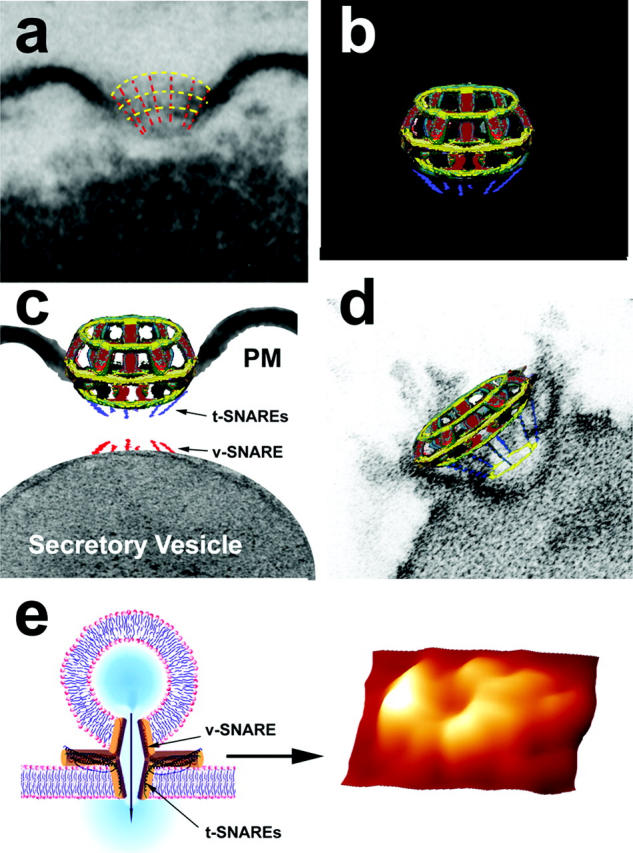 FIGURE 4