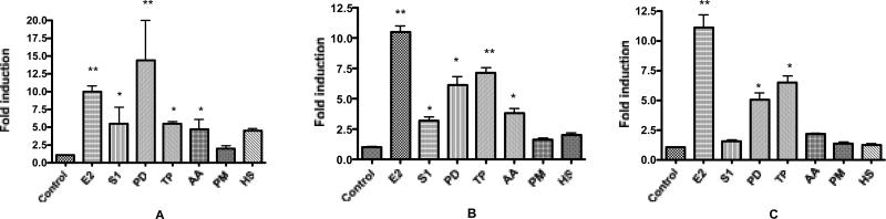 FIG 1