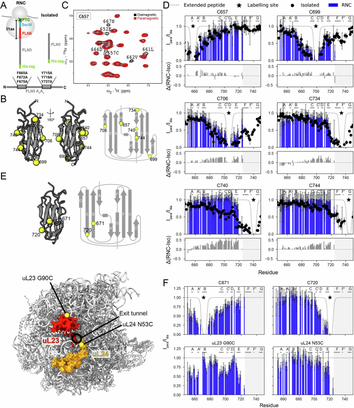 Extended Data Fig. 1