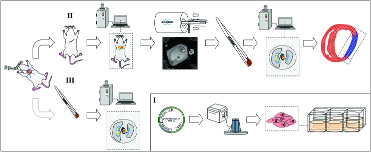 FIG. 1.