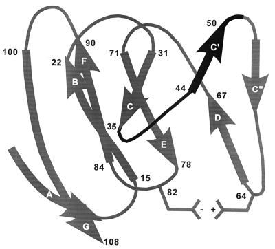 FIG. 7