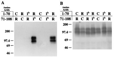 FIG. 6