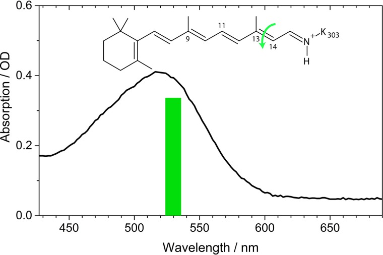 FIG. 1.