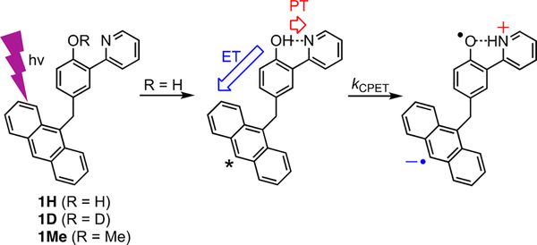 Scheme 1.